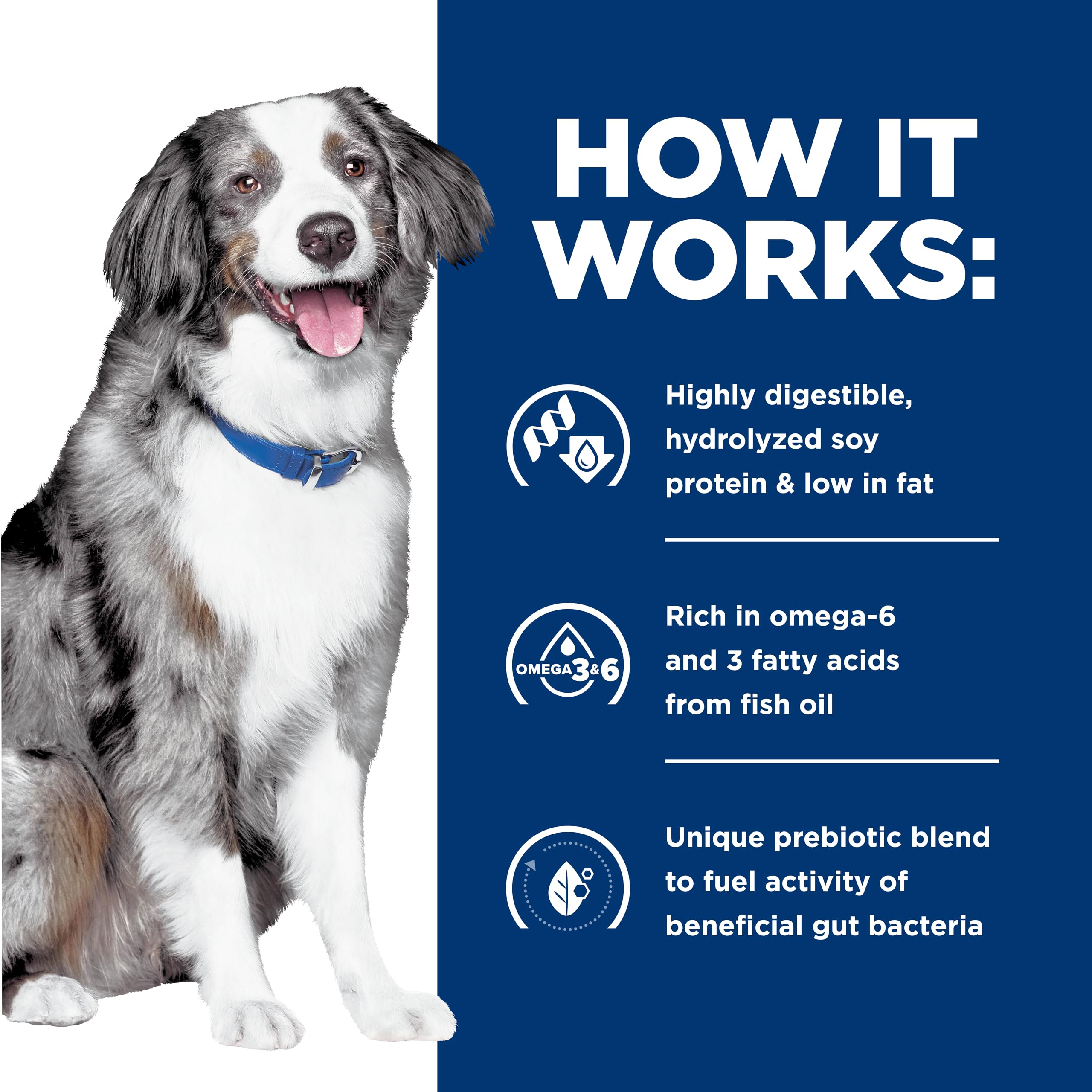 Hill's z/d Low Fat dog food trusted by veterinarians for sensitive diets