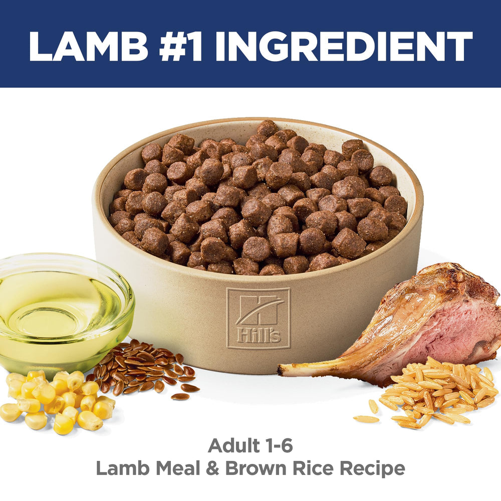Hill's Science Diet kibble in bowl, supporting healthy energy and digestion.