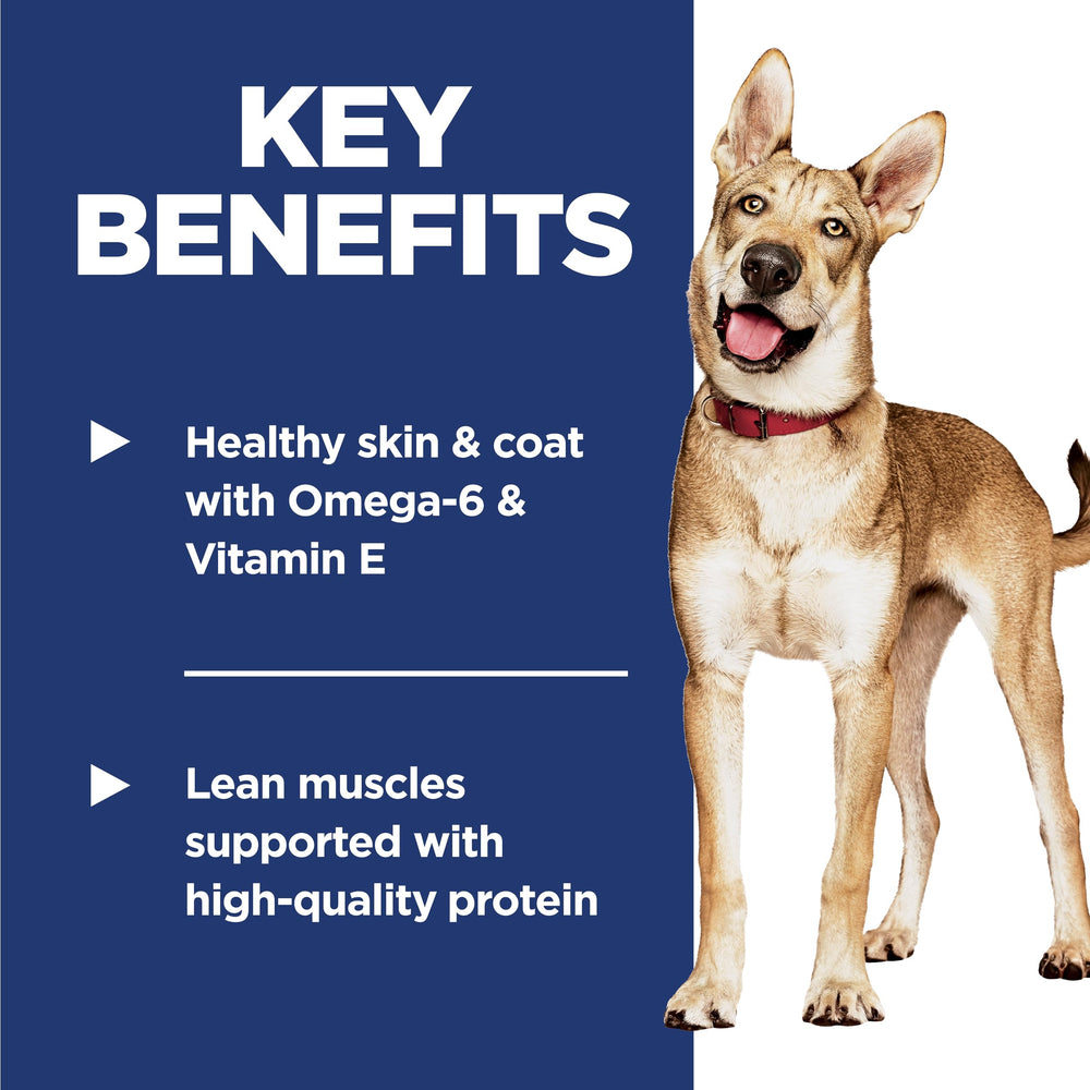 Serving bowl of Hill's Science Diet adult dog food for balanced daily meals.