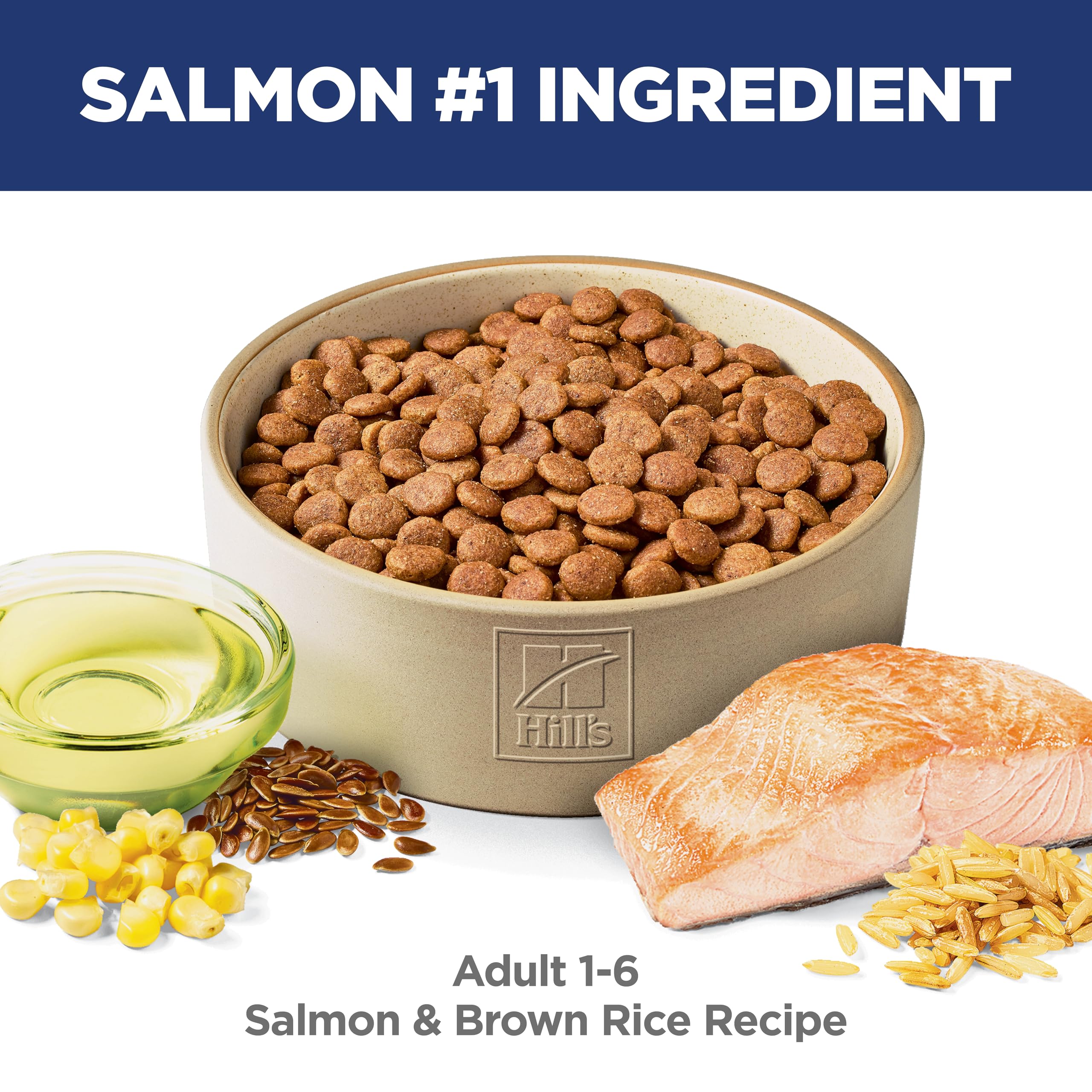 Serving bowl featuring Hill's Science Diet adult 1-6 dry dog food during mealtime.