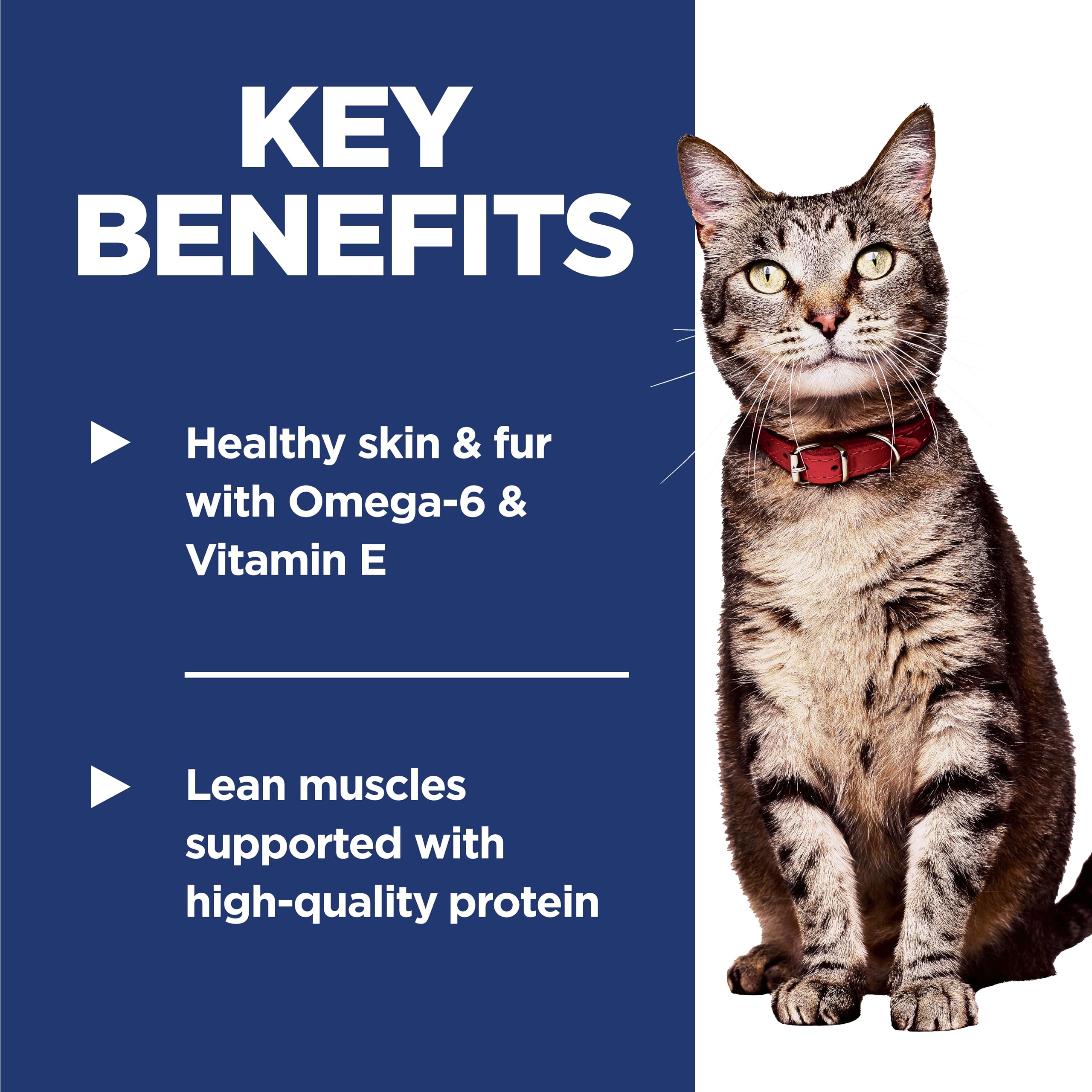 Hill's Science Diet kibble close-up emphasizes protein quality for lean muscles.
