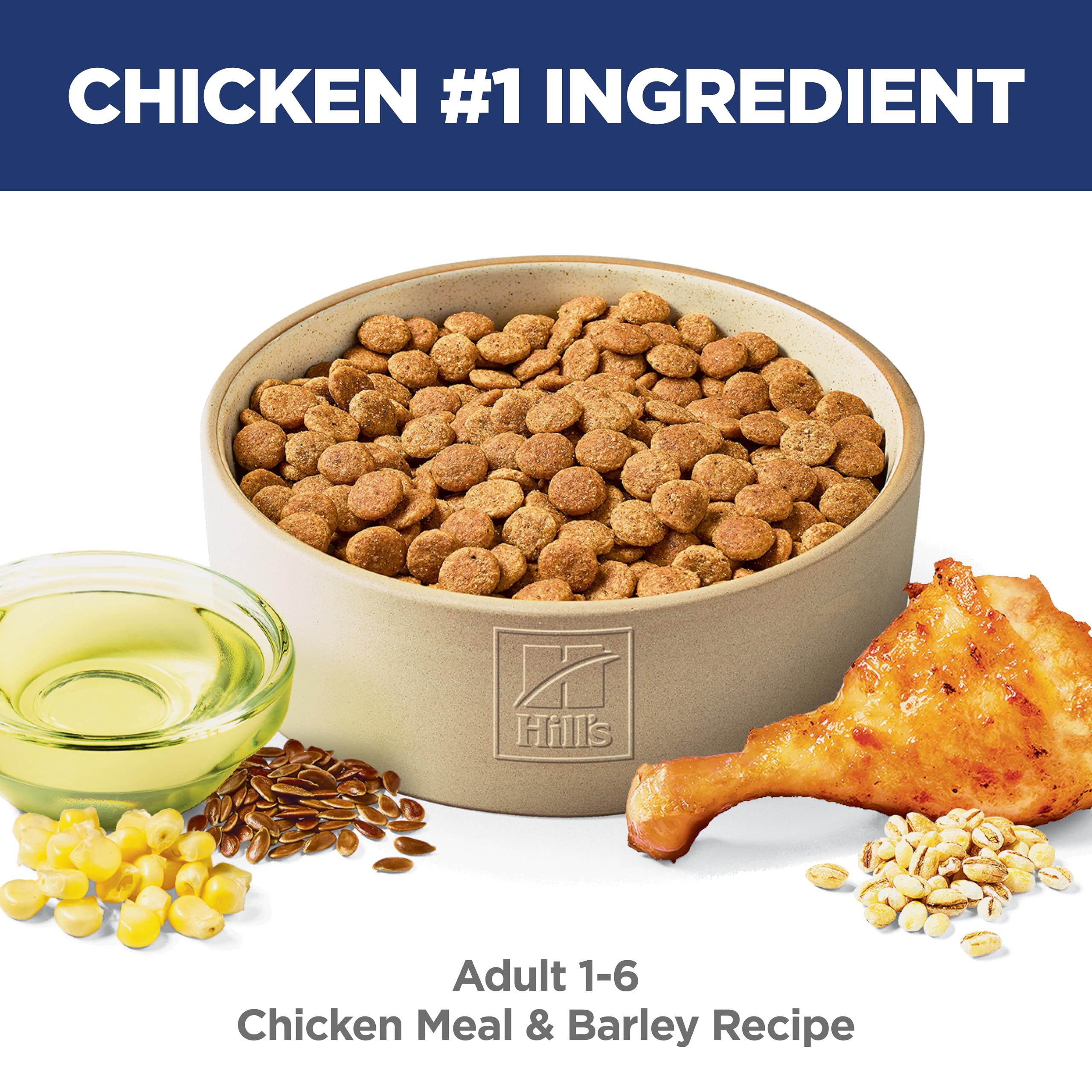 Hill's Science Diet Adult 1-6 kibble in bowl supports convenient daily feeding.