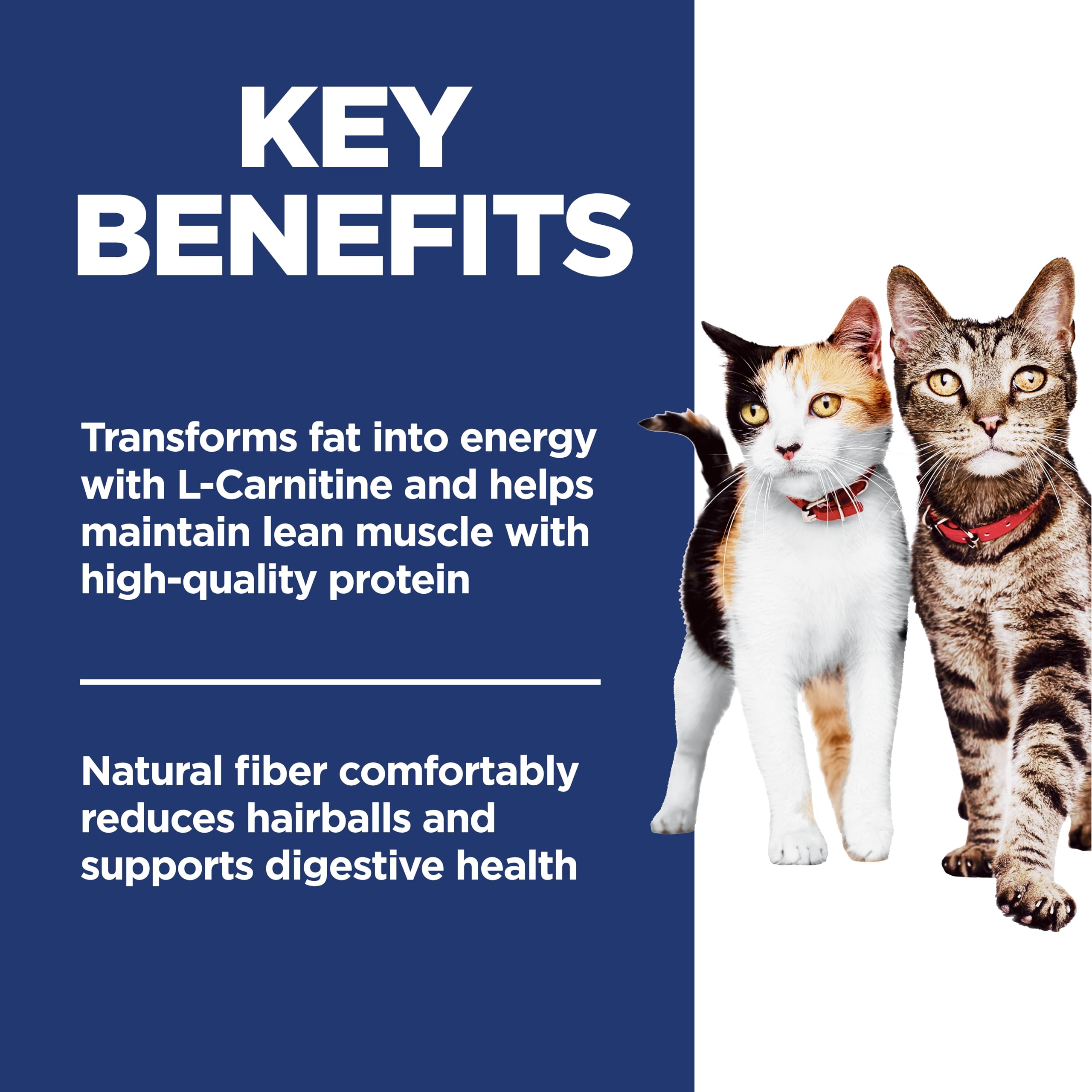 Hill's Science Diet L-Carnitine label emphasizes energy support