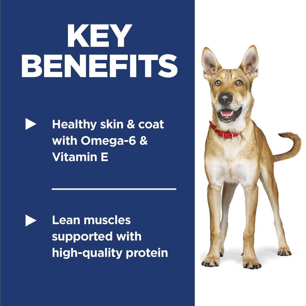 Hill's Science Diet Adult 1-6 lamb dry dog food close-up shows premium ingredients.
