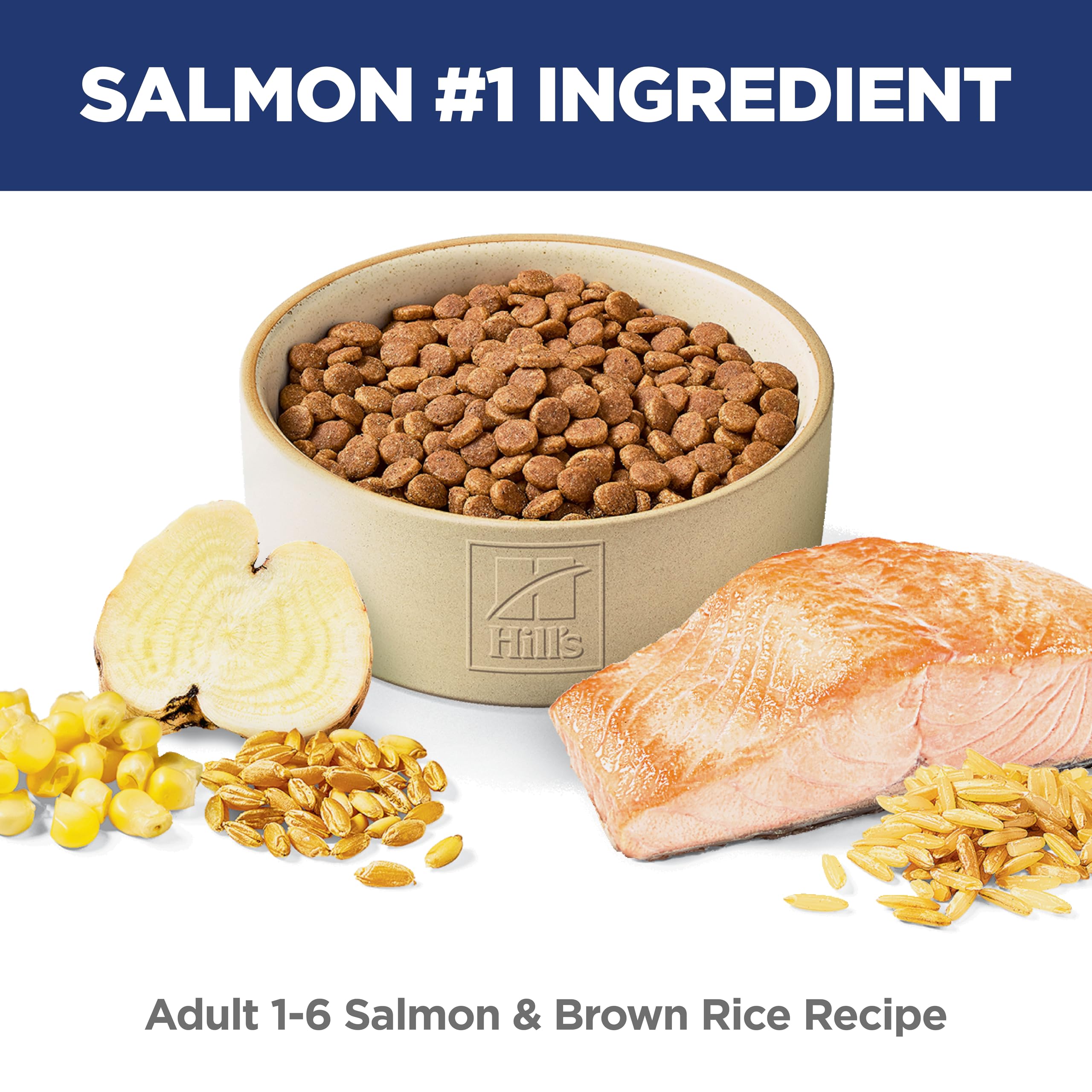 Hill's Science Diet Adult 1-6 salmon and brown rice kibble shown for tasty, complete nutrition.