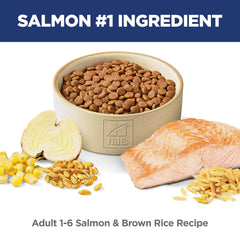 Hill's Science Diet Adult 1-6 salmon and brown rice kibble shown for tasty, complete nutrition.