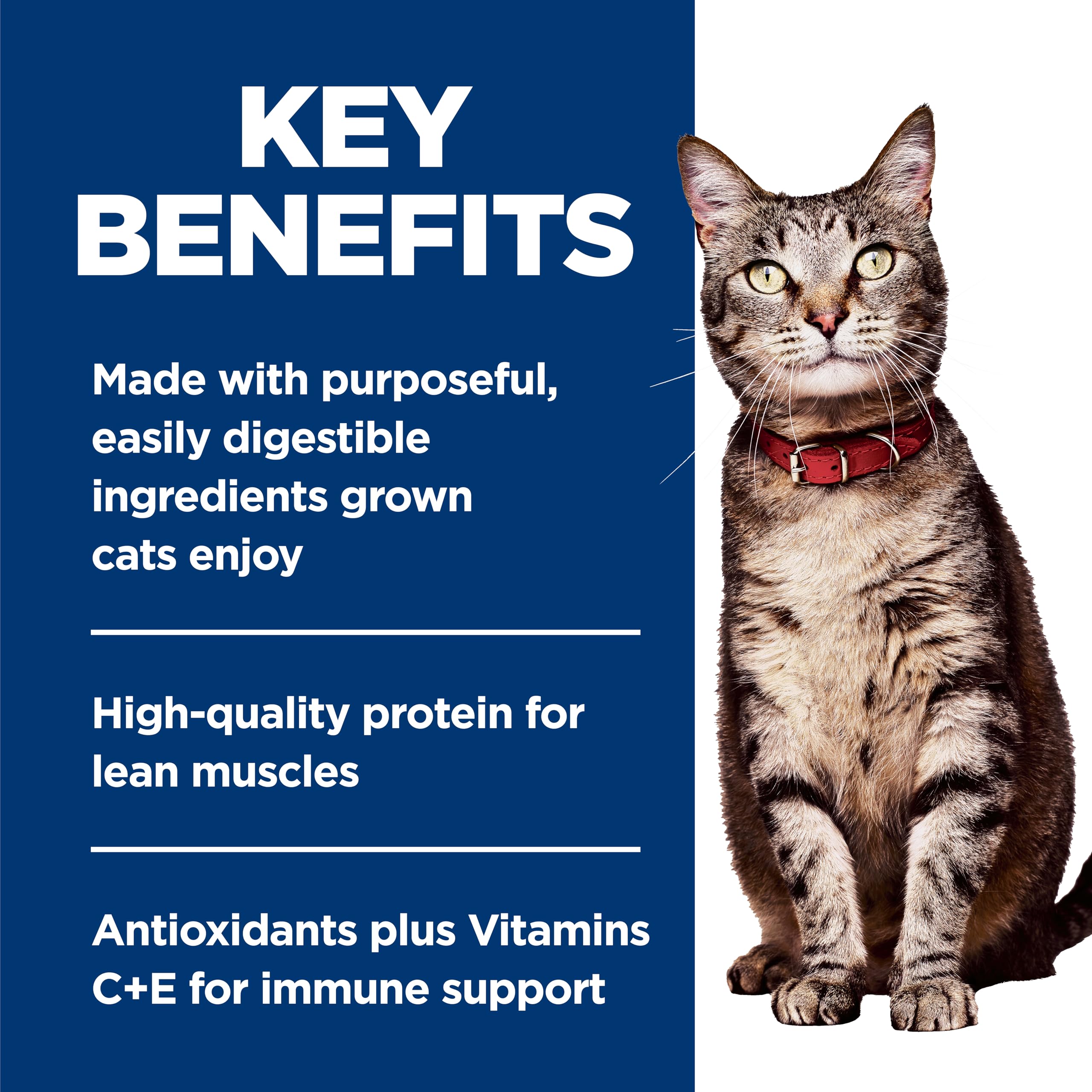 Ingredients list label on Hill's Science Diet beef minced cat food.