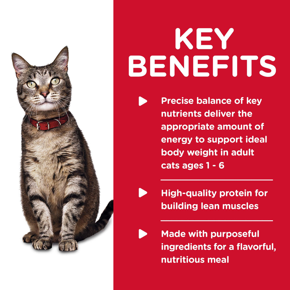Hill's Science Diet Chicken Minced close-up shows minced texture appealing to cats.