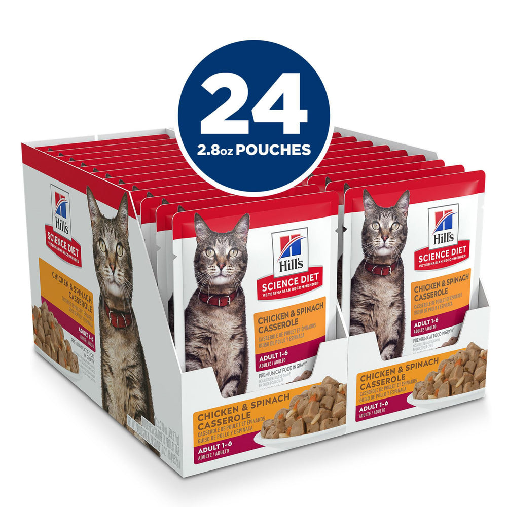 Hill's Science Diet Adult 1-6 wet cat food pouch open and ready to serve