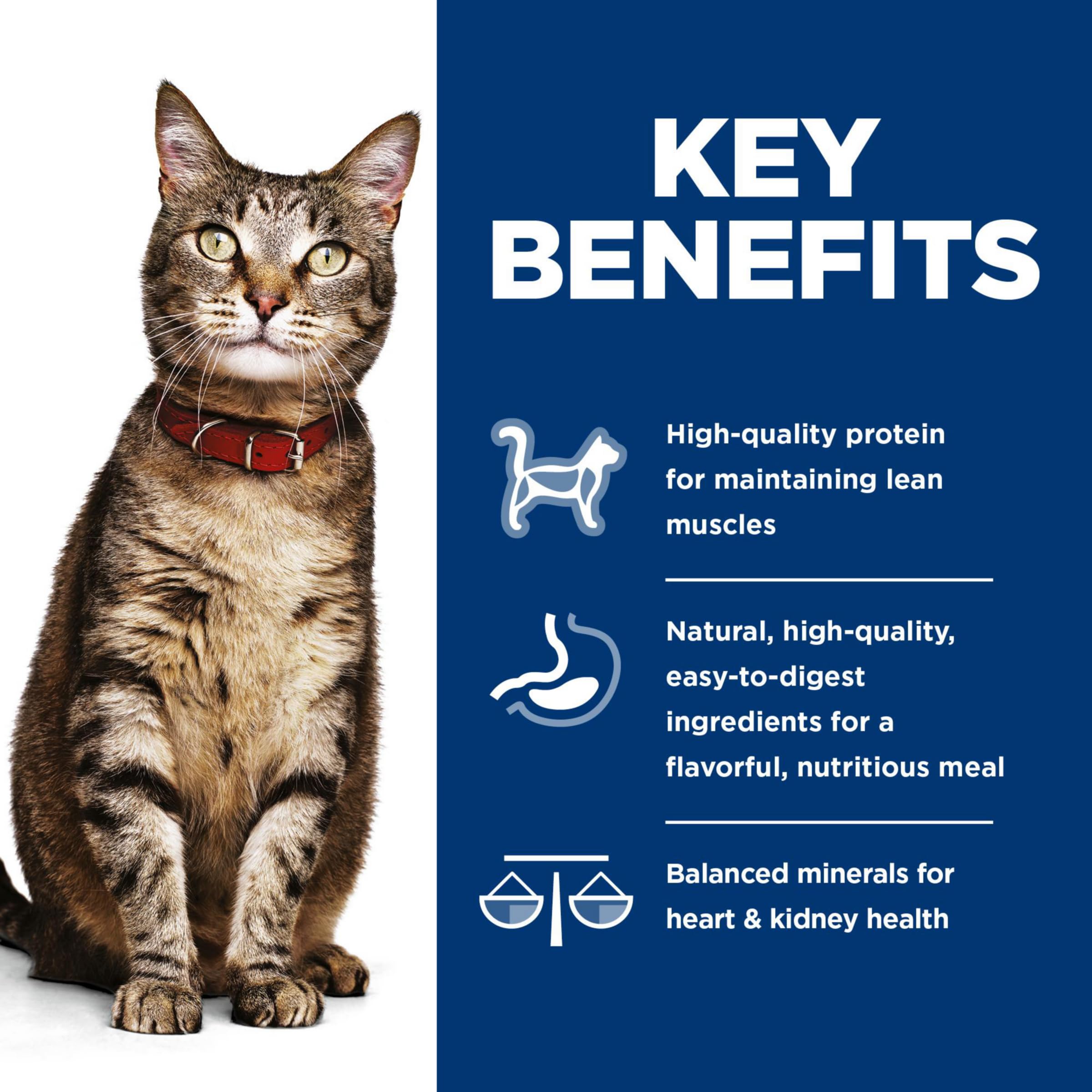 Hill's Science Diet savory turkey cans offer balanced nutrition for days.