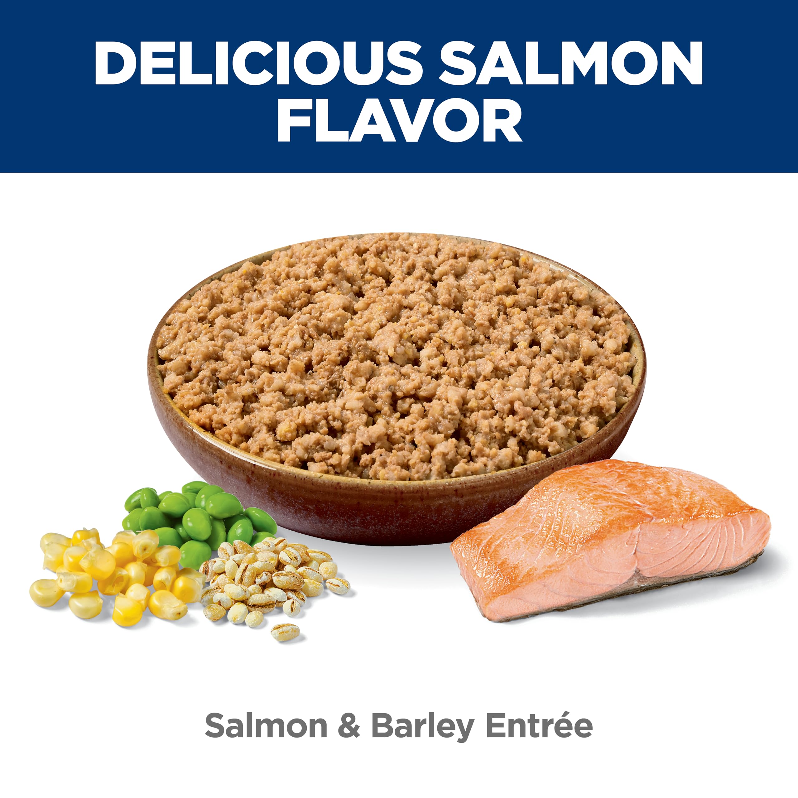 Close-up of Hill's Science Diet Salmon & Barley texture in a bowl for easy digestion.