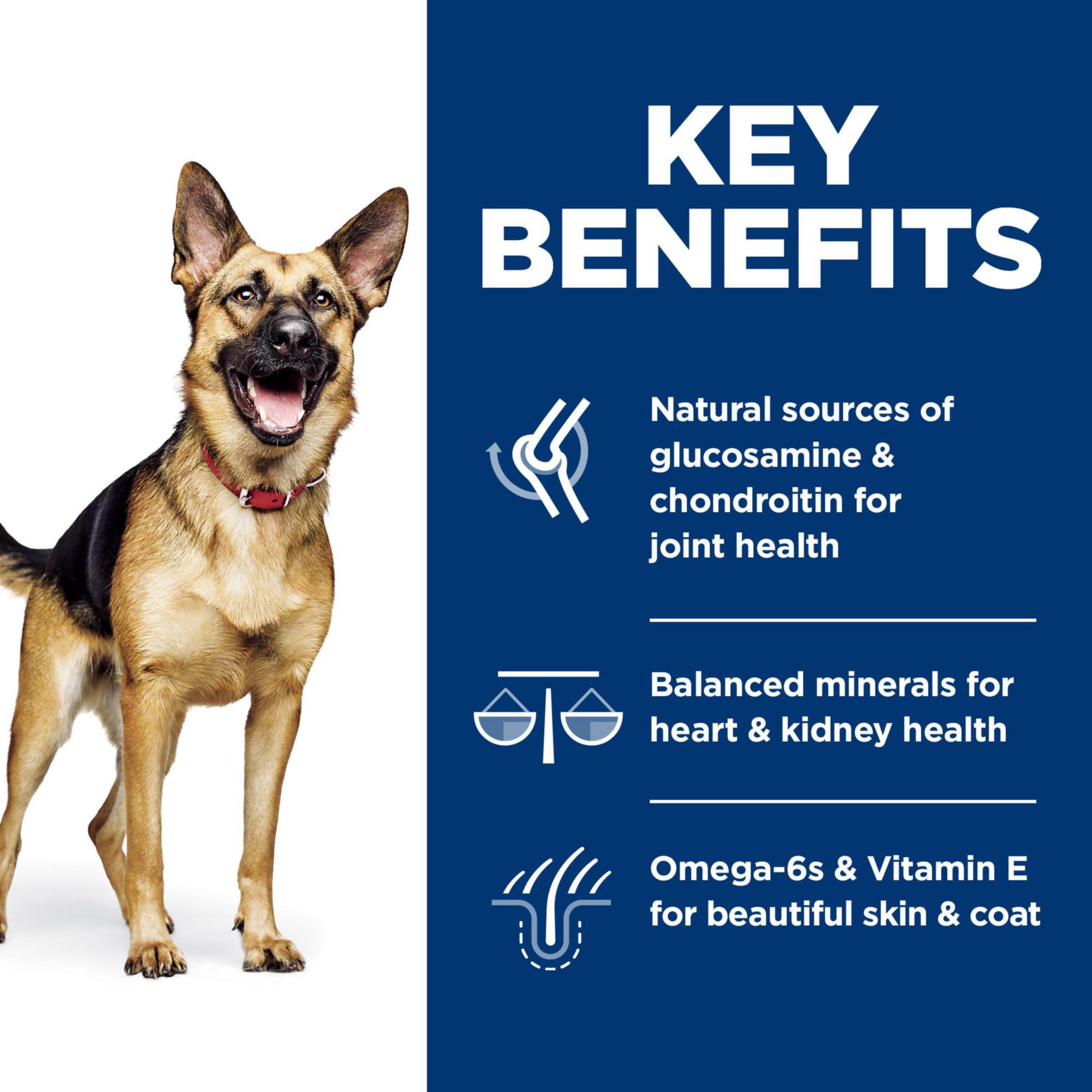 Close-up of Hill's Science Diet chicken kibble texture designed for easy digestion