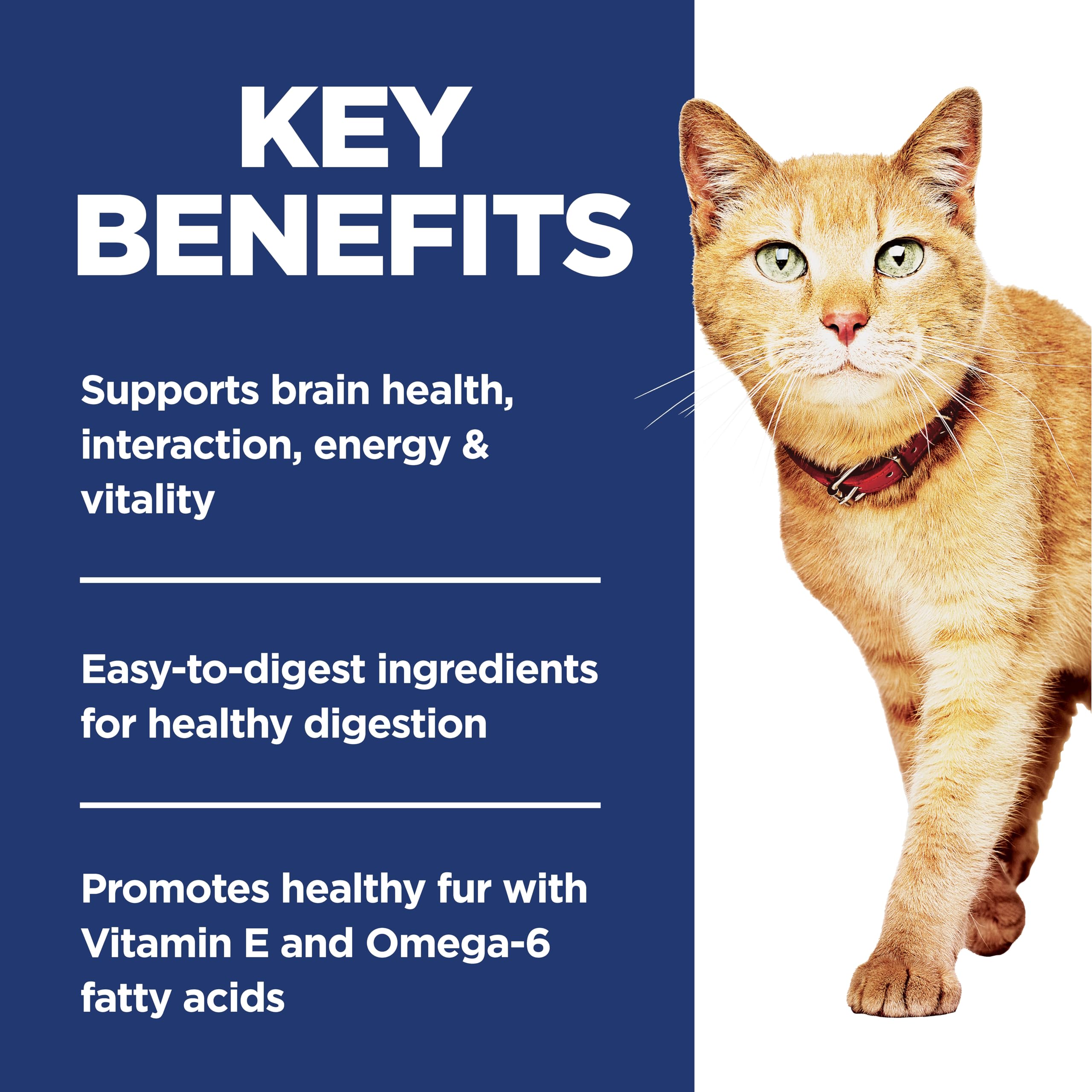 Hill's Science Diet Adult 7+ Senior Vitality dry cat food served in a bowl for daily meals.