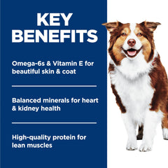 Hill's Science Diet 12-pack cans ready for regular feeding