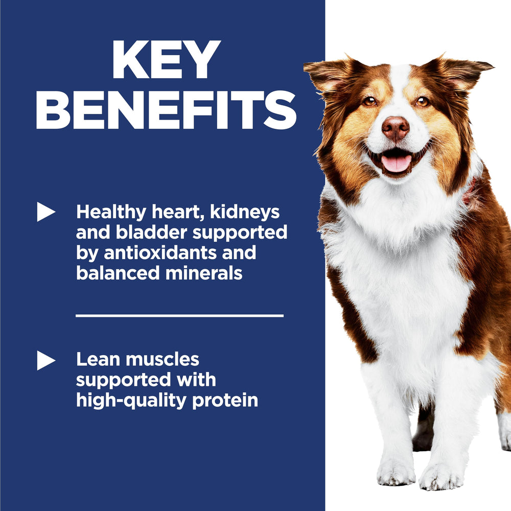 Hill's Science Diet Adult 7+ dog eating from bowl highlights easy digestion.