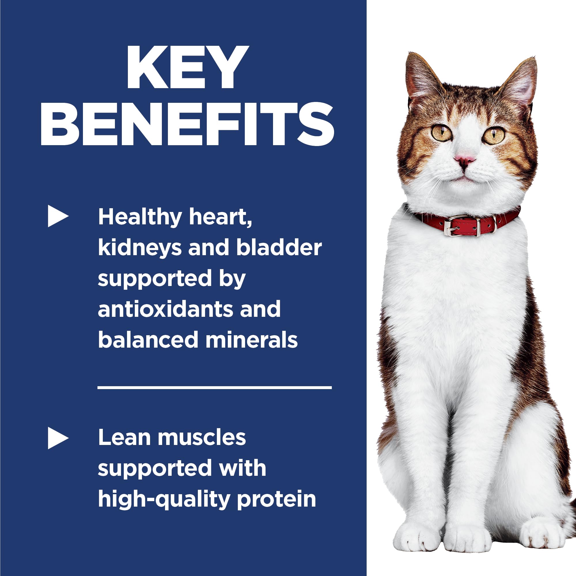 Hill's Science Diet adult 7+ dry cat food bag front highlighting natural ingredients and taurine.