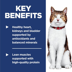 Hill's Science Diet serving bowl image highlights mealtime with balanced nutrition