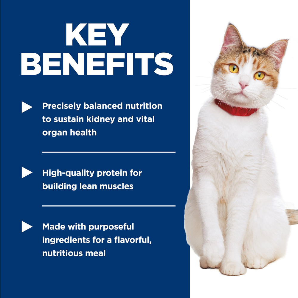 Hill's Science Diet Adult 7+ Healthy Cuisine cat enjoying a meal highlights palatable senior nutrition.