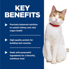 Hill's Science Diet Adult 7+ Healthy Cuisine cat enjoying a meal highlights palatable senior nutrition.
