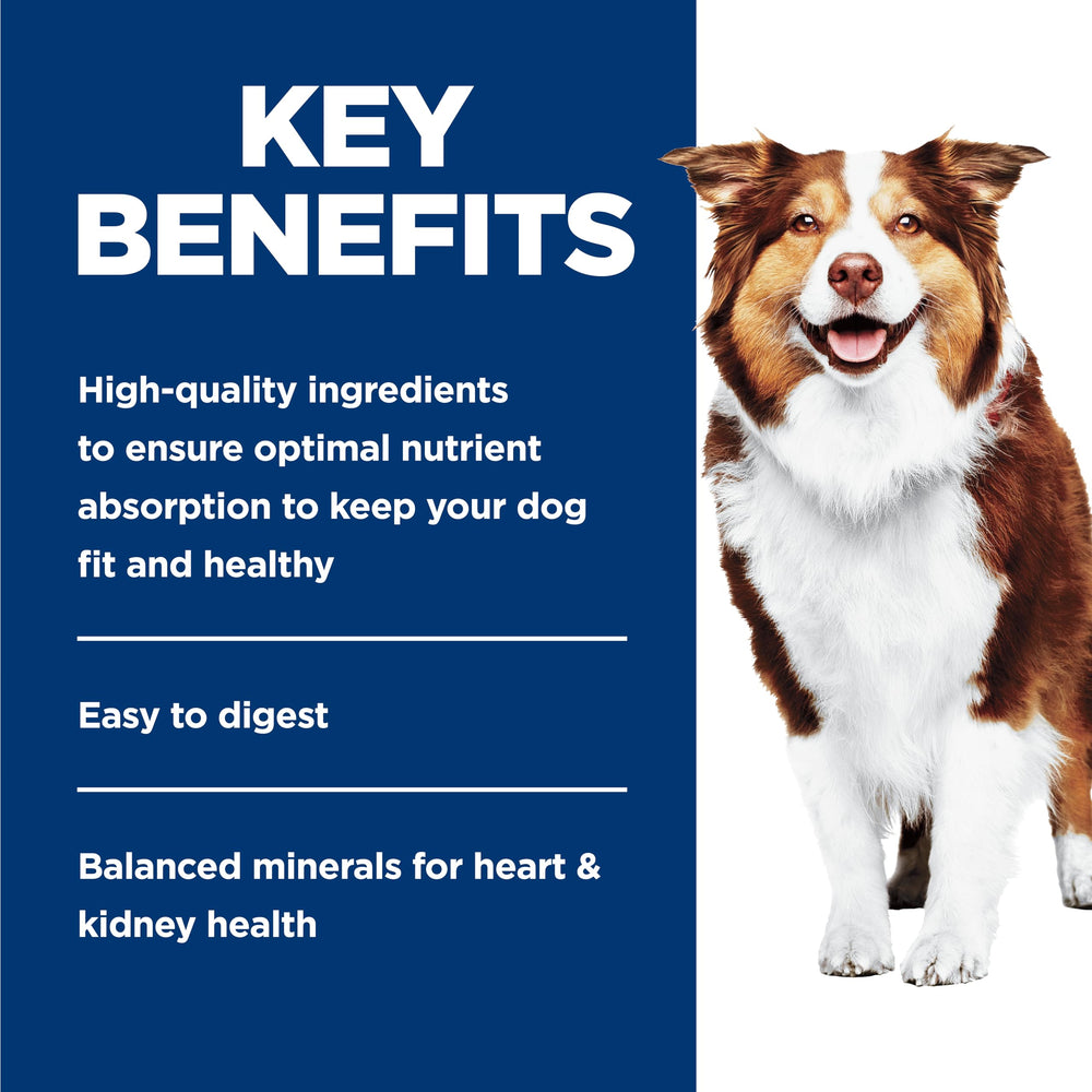 Happy senior dog enjoying Hill's Science Diet Adult 7+ beef and barley entrée.