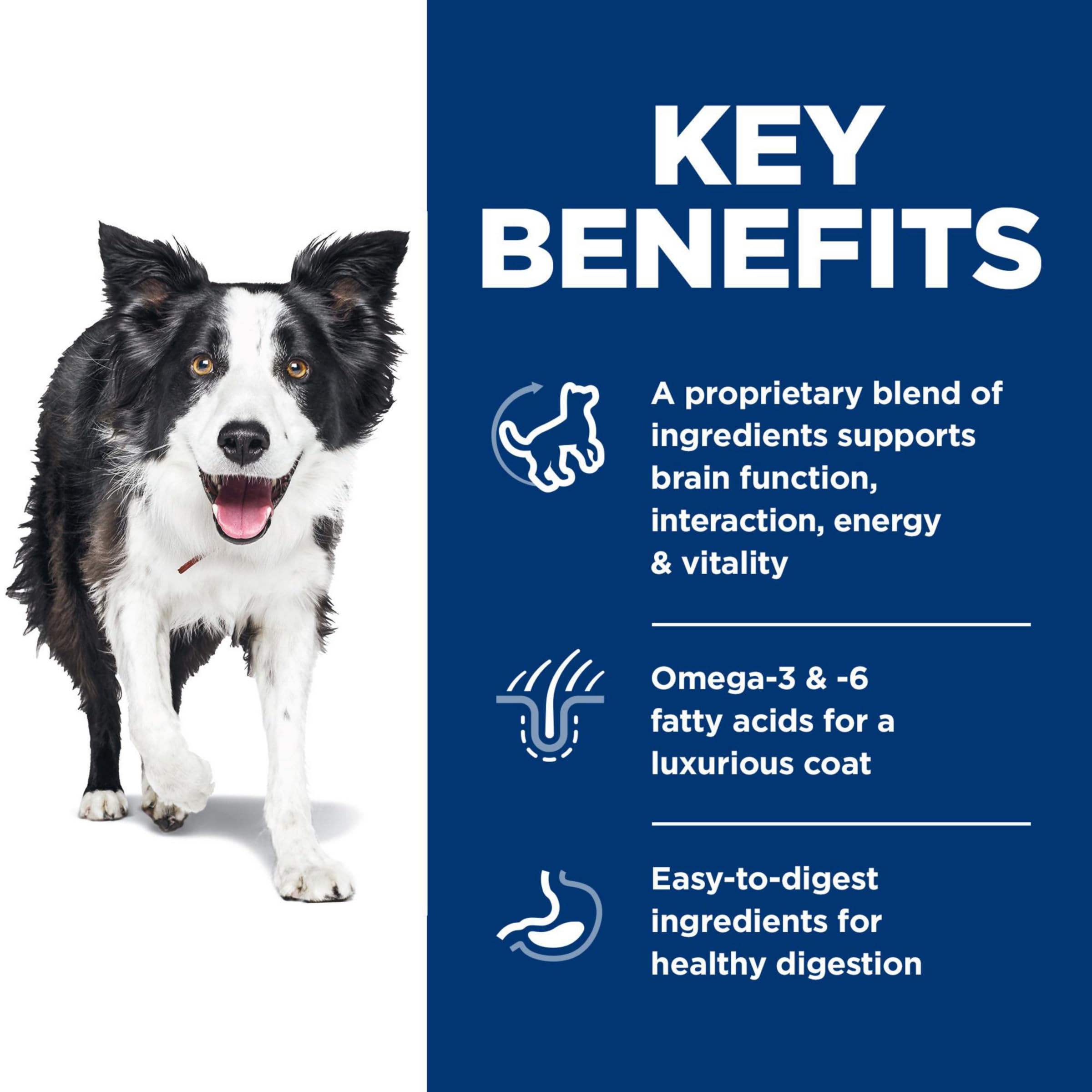 Hill's Science Diet Senior Vitality ingredients scene showcases natural components for everyday support