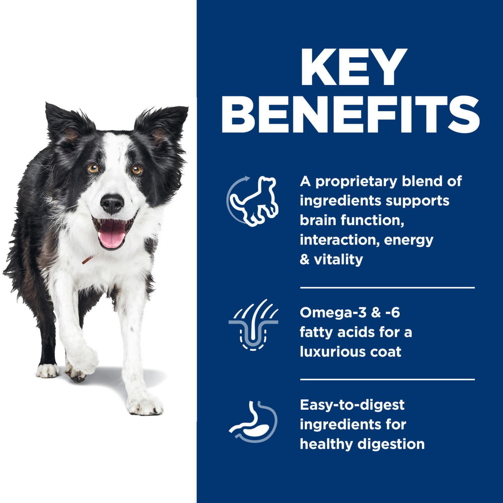 Hill's Science Diet Senior Vitality ingredients scene showcases natural components for everyday support