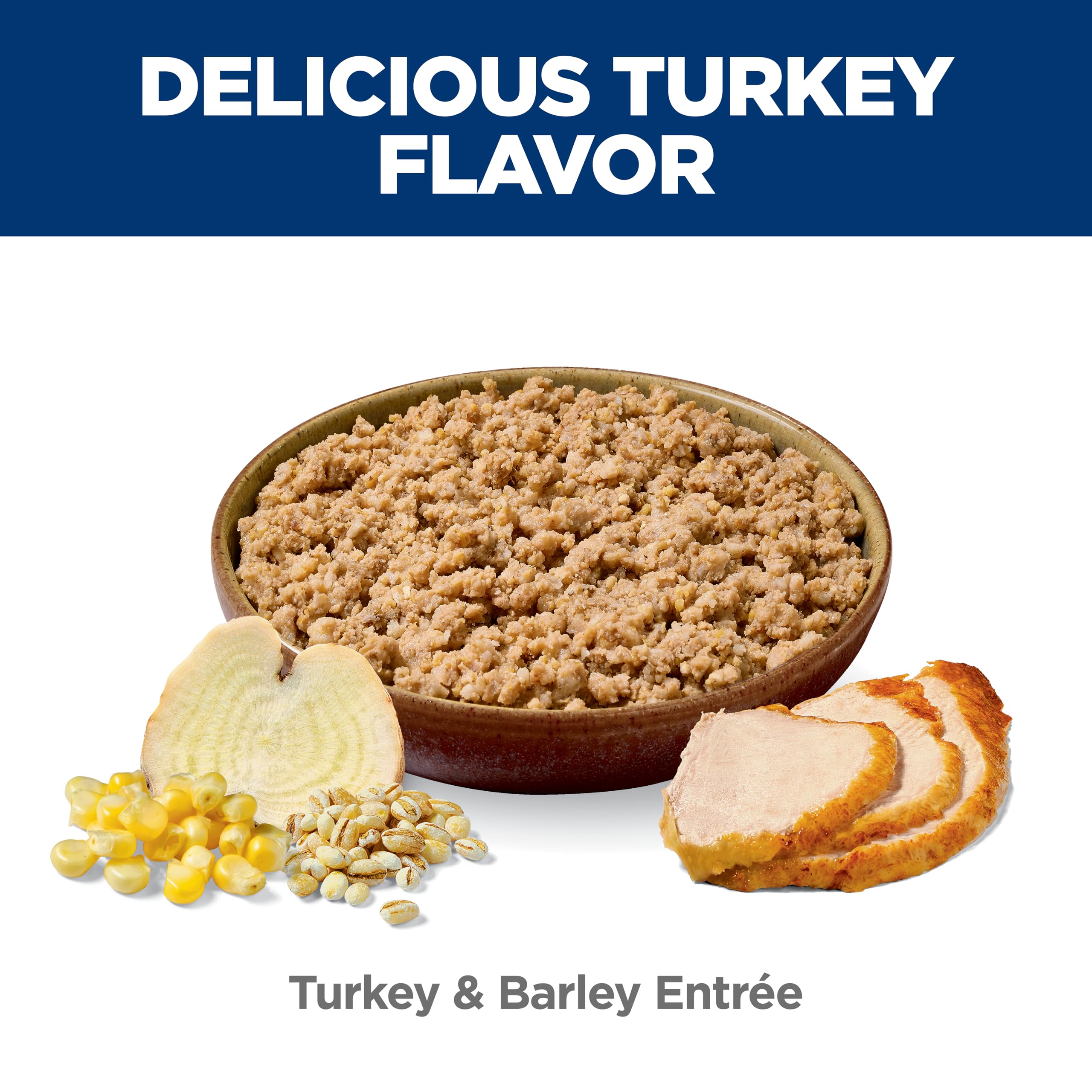 Hill's Science Diet Adult 7+ wet dog food serving bowl scene highlights elder dog energy aims