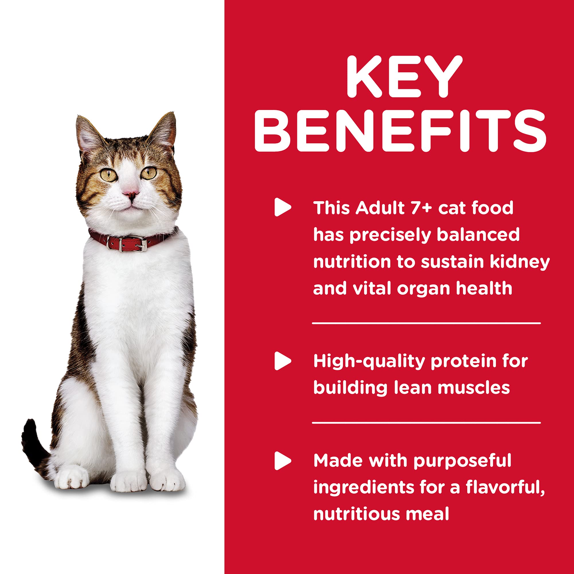 Omega-6s, omega-3s, and vitamin E promote healthy skin and coat.