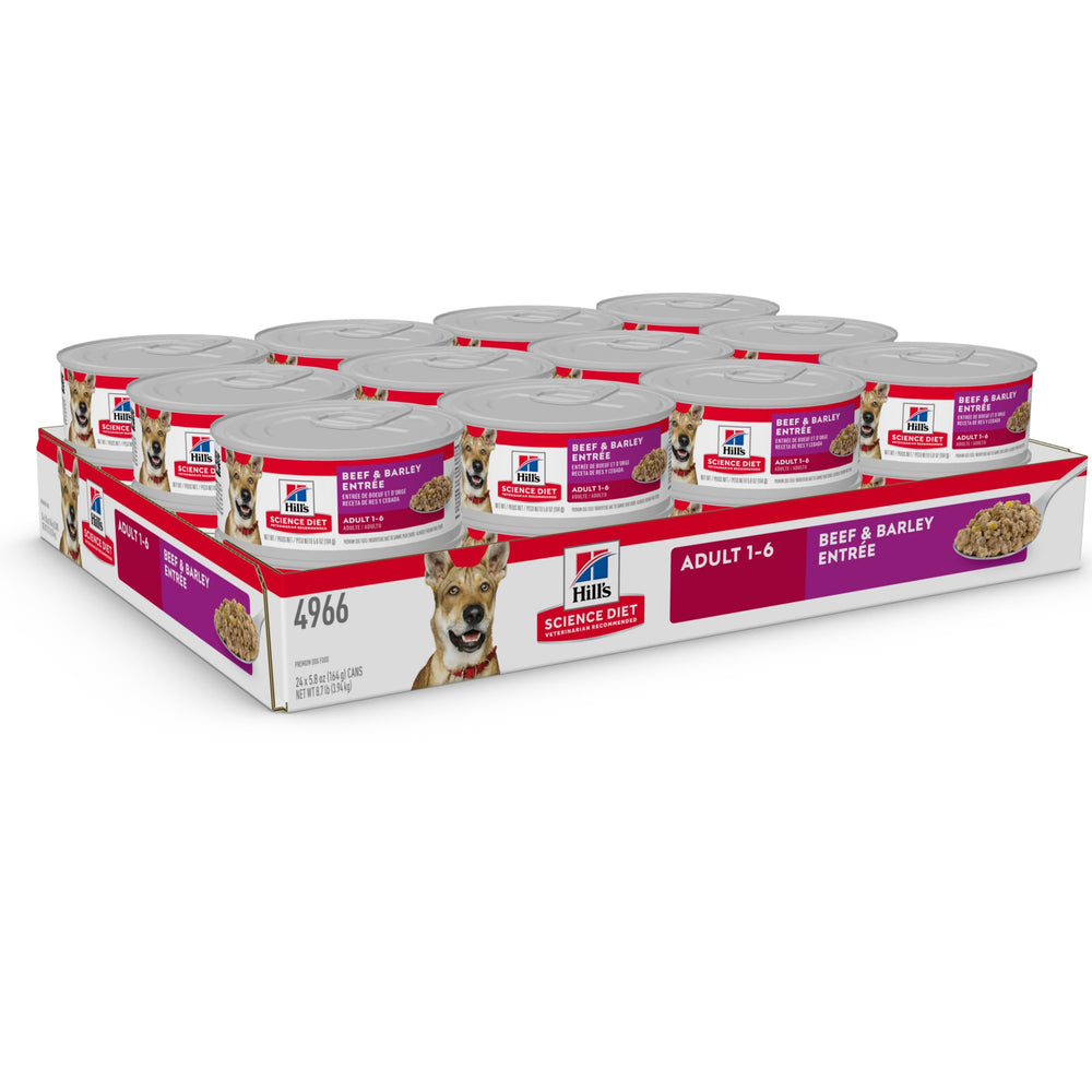 Hill's Science Diet adult beef & barley wet dog food bowl – tasty texture for canine meals.