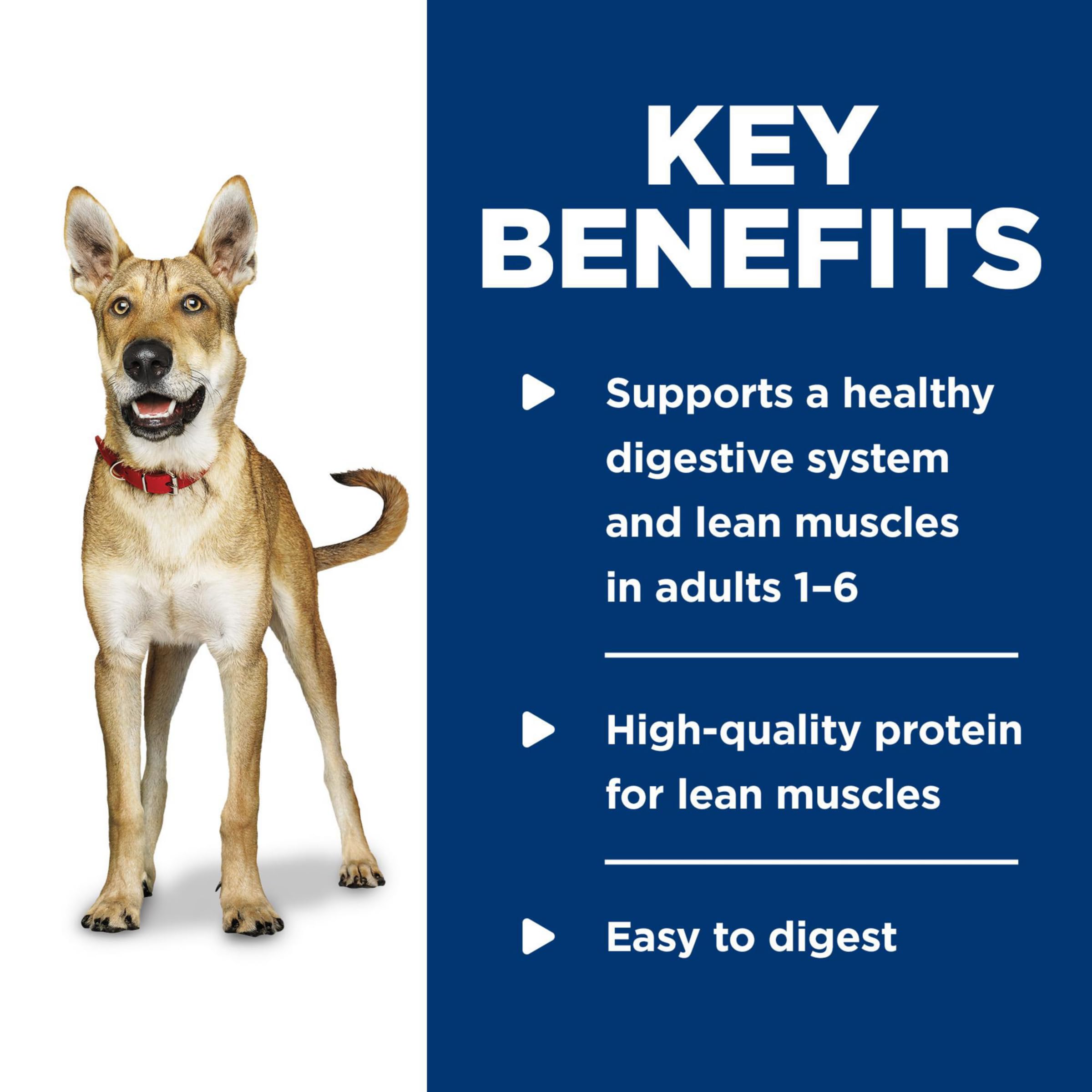 Hill's Science Diet adult beef & barley wet dog food multipack – convenient feeding option.