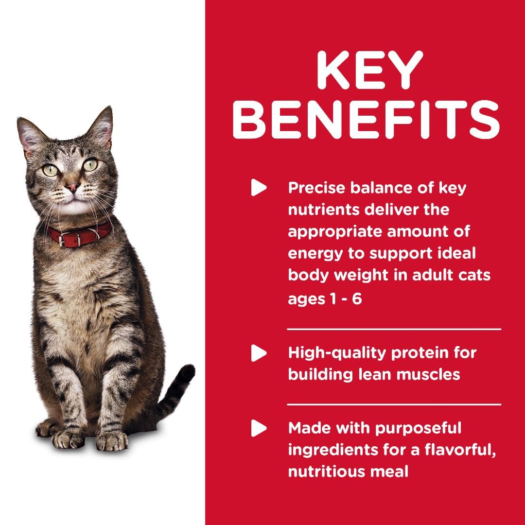 24-pack of Hill's Science Diet wet cat food for convenient daily feeding.