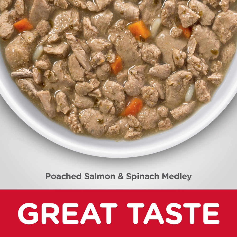 Real salmon flakes in Hill's Science Diet adult stew indicate protein-rich content.