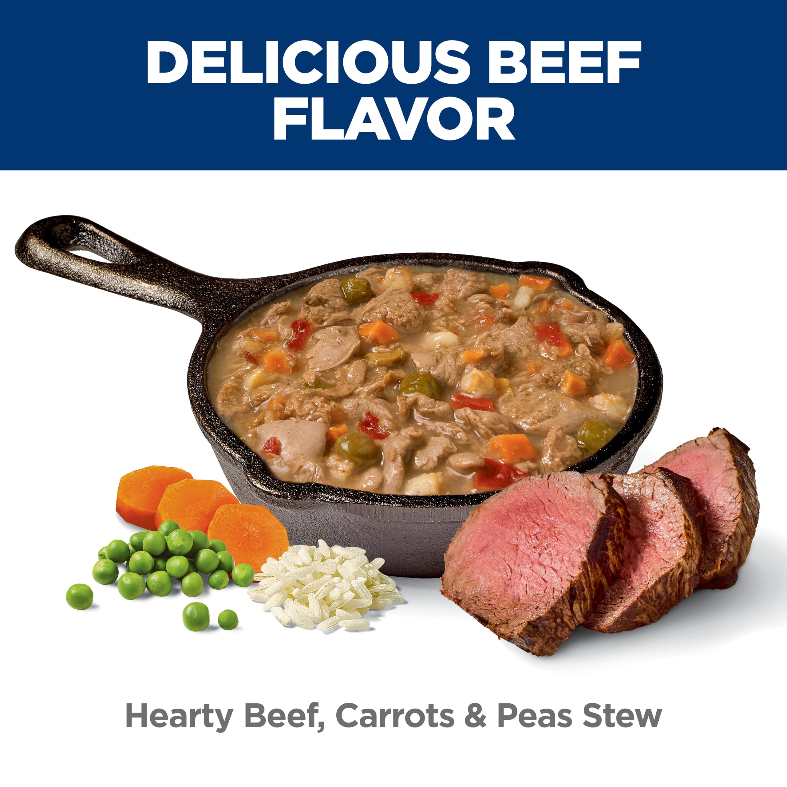 Hill's Science Diet Adult Healthy Cuisine Wet Dog Food served in bowl conveys appetizing aroma