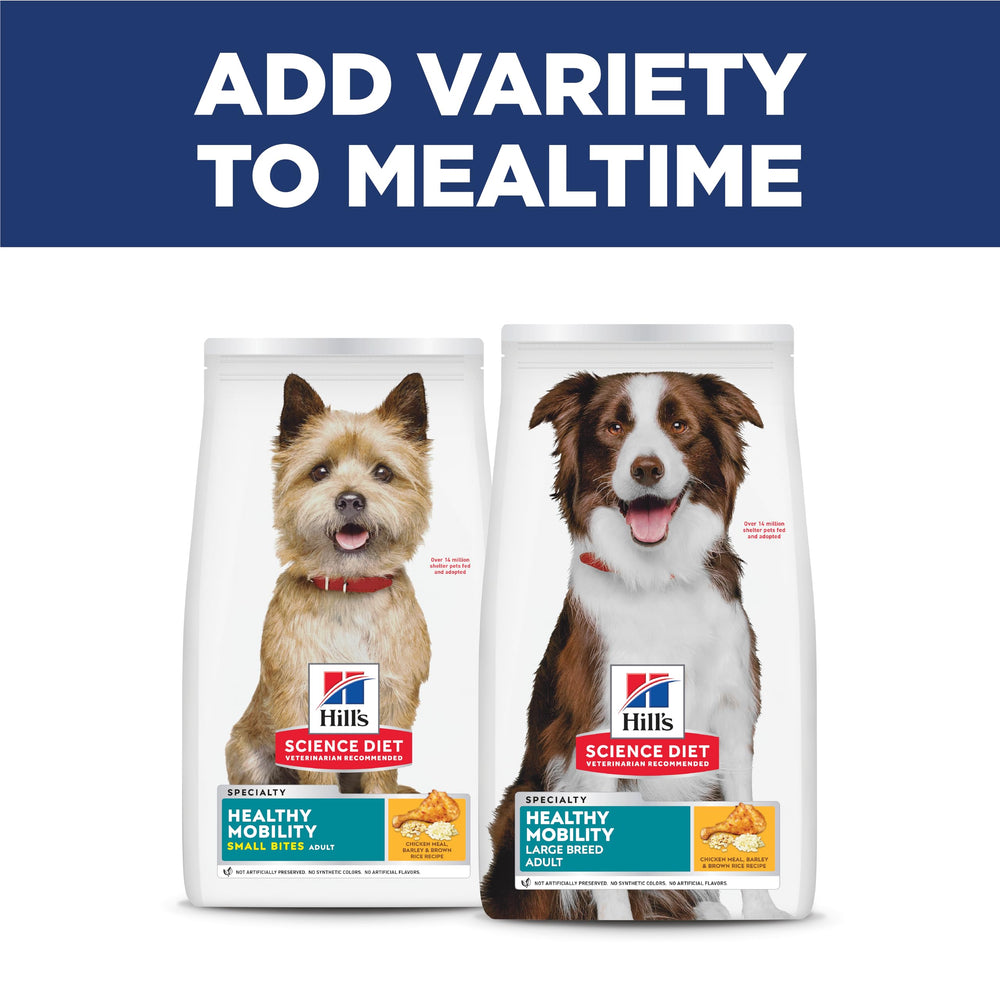 Hill's Science Diet large-breed bag beside a measuring scoop for practicality.