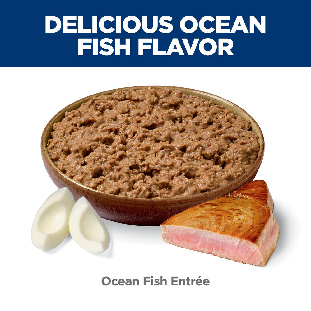Serving bowl of Hill's Science Diet Indoor Ocean Fish Entree for indoor cats