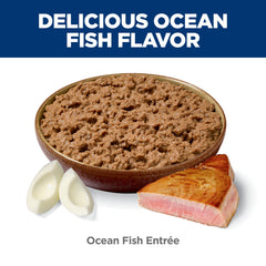 Serving bowl of Hill's Science Diet Indoor Ocean Fish Entree for indoor cats