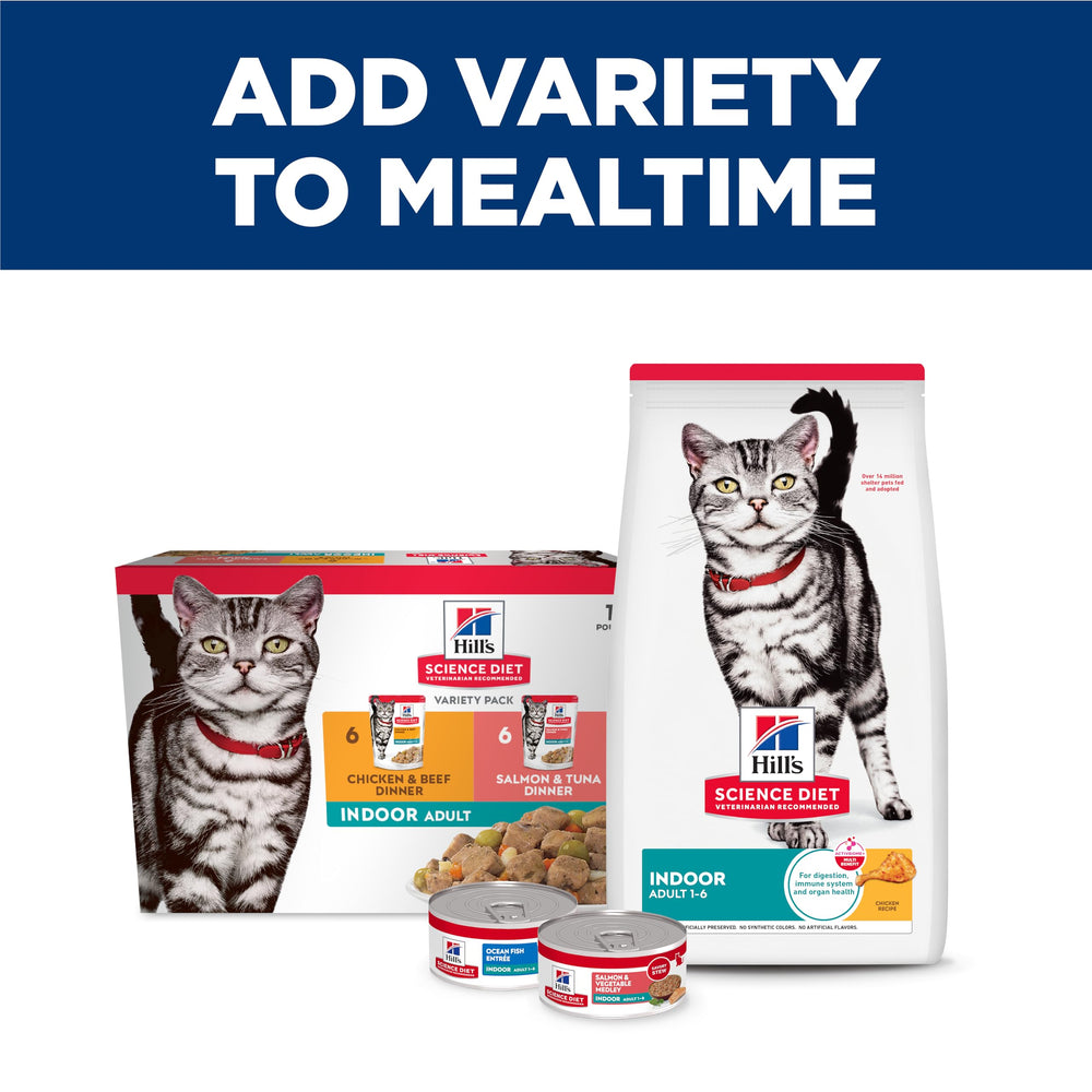 Hill's Science Diet indoor can with salmon-vegetable offers a convenient serving for busy households.