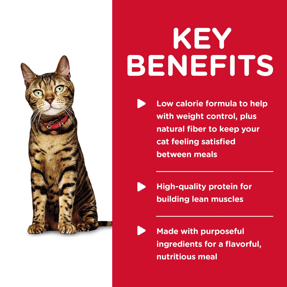 Hill's Science Diet Adult Light Wet Cat Food Bowl Setup, ready for mealtime