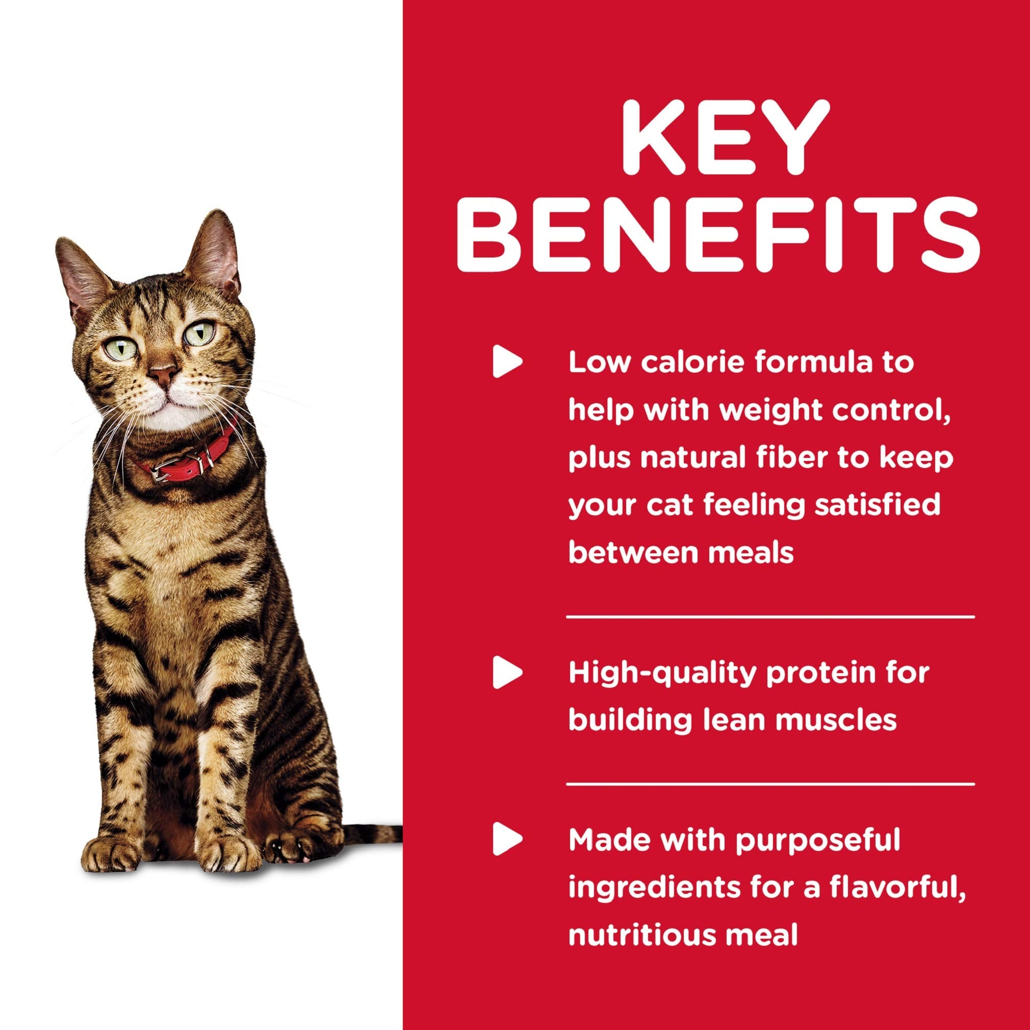 Hill's Science Diet can-pack display illustrating easy daily feeding.