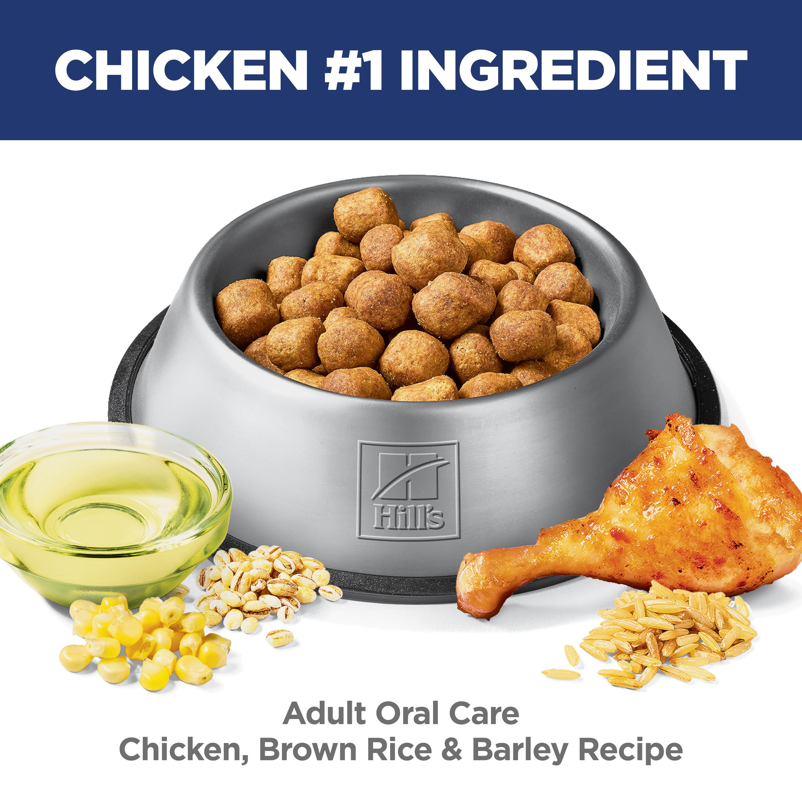 Dog eating Hill's Science Diet Adult Oral Care meal