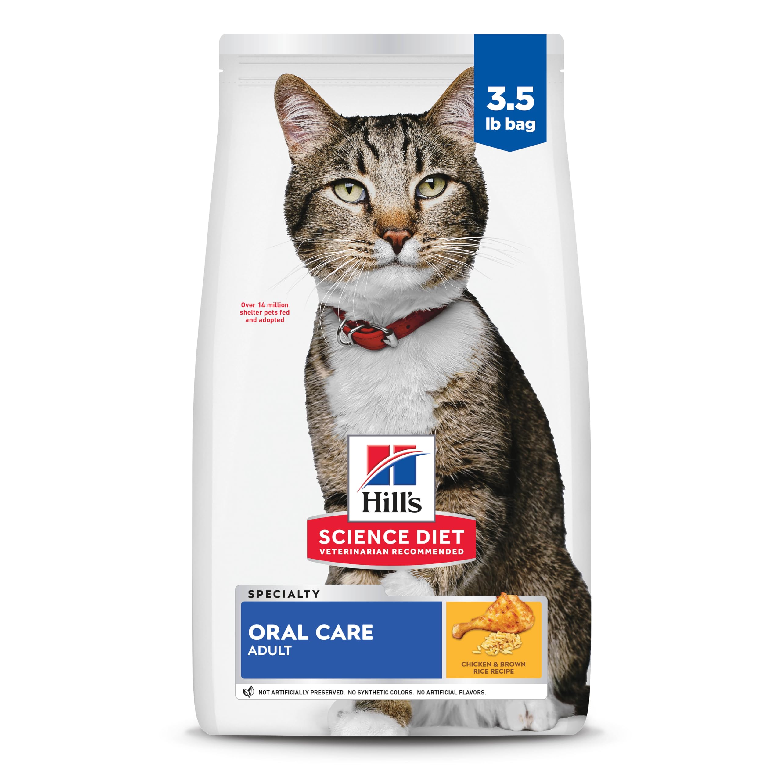 Hill's Science Diet Adult Oral Care dry cat food in a bowl for dental health