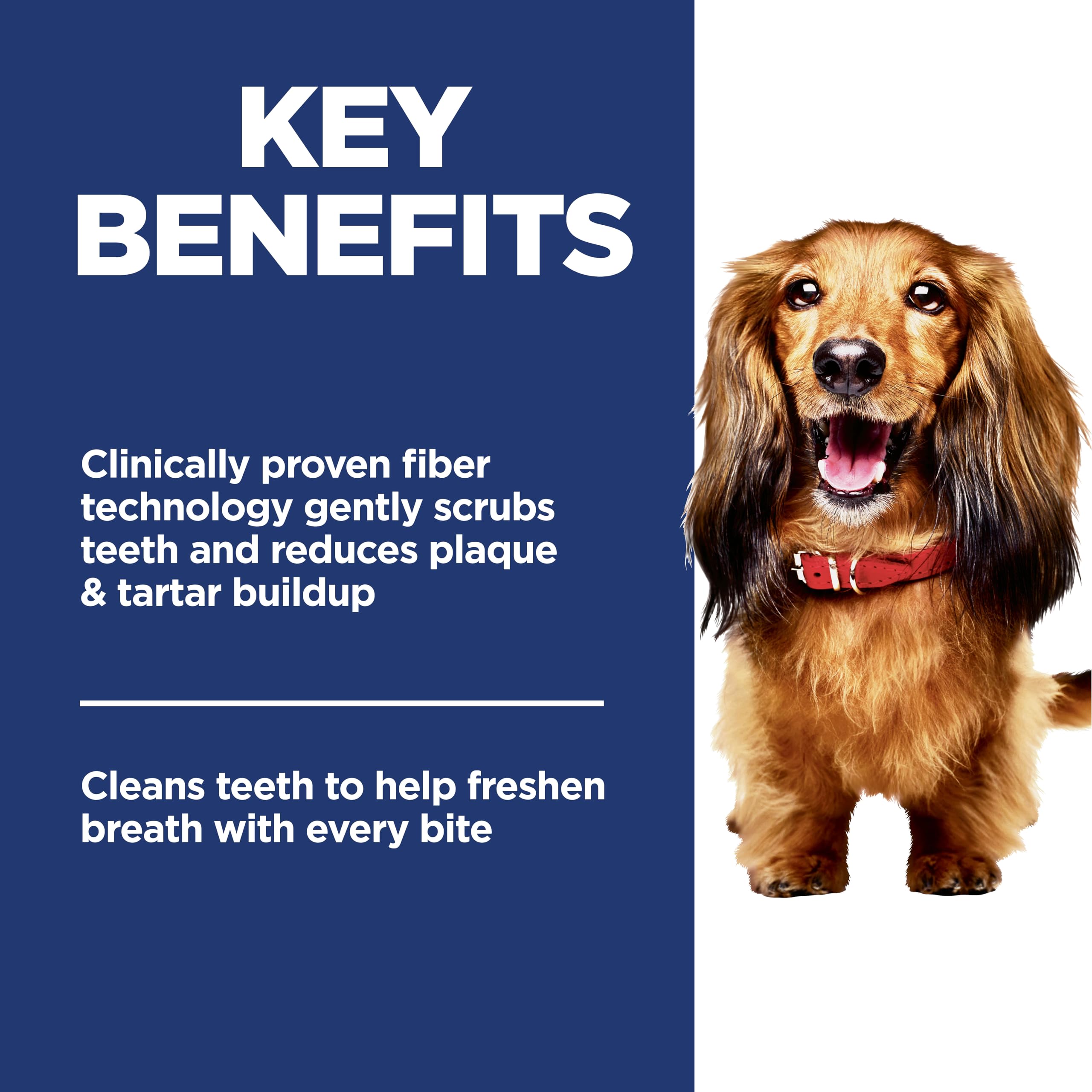 Interlocking fiber kibble detail from Hill's Science Diet Oral Care