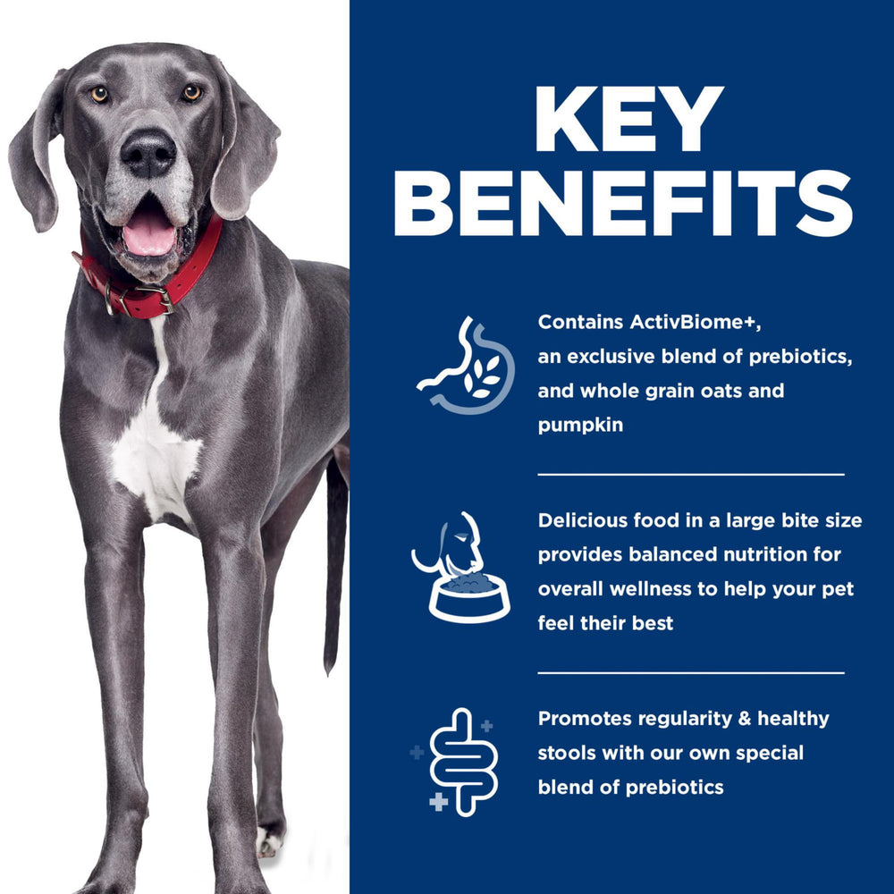 Hill's Science Diet kibble with chicken as the first ingredient highlights quality protein.