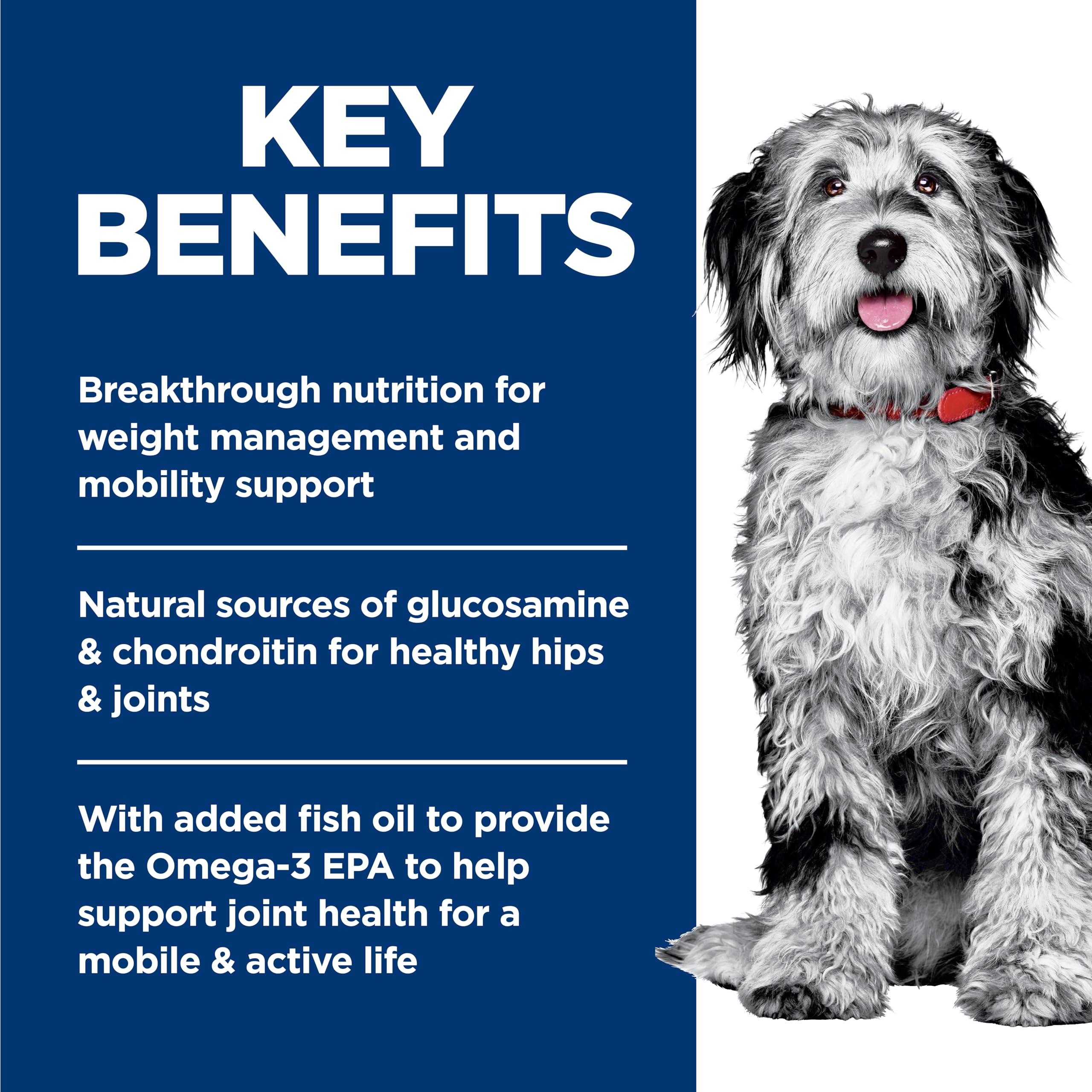 Closeup of ingredients in Hill's Science Diet tuna stew for dogs.