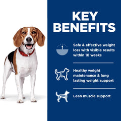 Hill's Science Diet Adult Perfect Weight kibble in a bowl showing lean muscle support