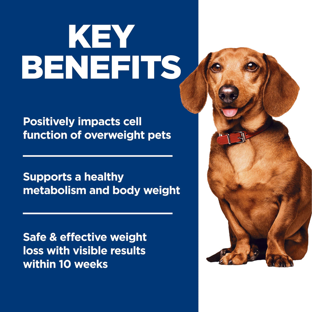 Hill's Science Diet bowl-serve shows serving suggestion for lean muscle in small dogs.
