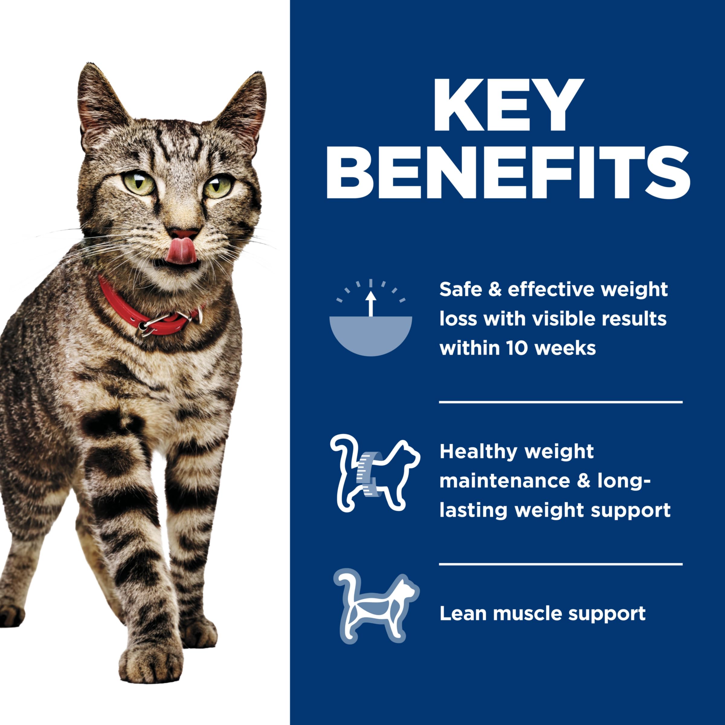 Hill's Science Diet Adult Perfect Weight turkey and vegetable cat food serving in a dish for weight support.