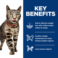 Hill's Science Diet Adult Perfect Weight turkey and vegetable cat food serving in a dish for weight support.