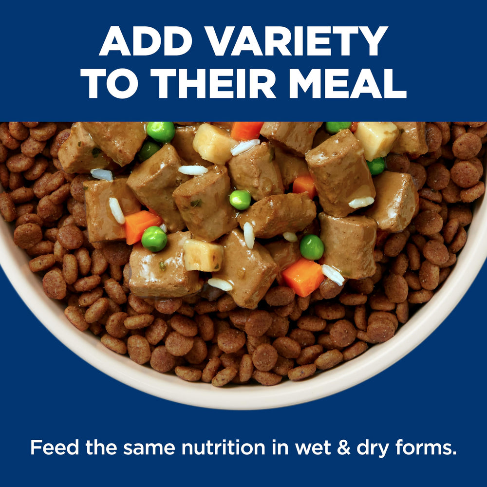 In-bowl shot of Hill's Perfect Weight stew for dogs