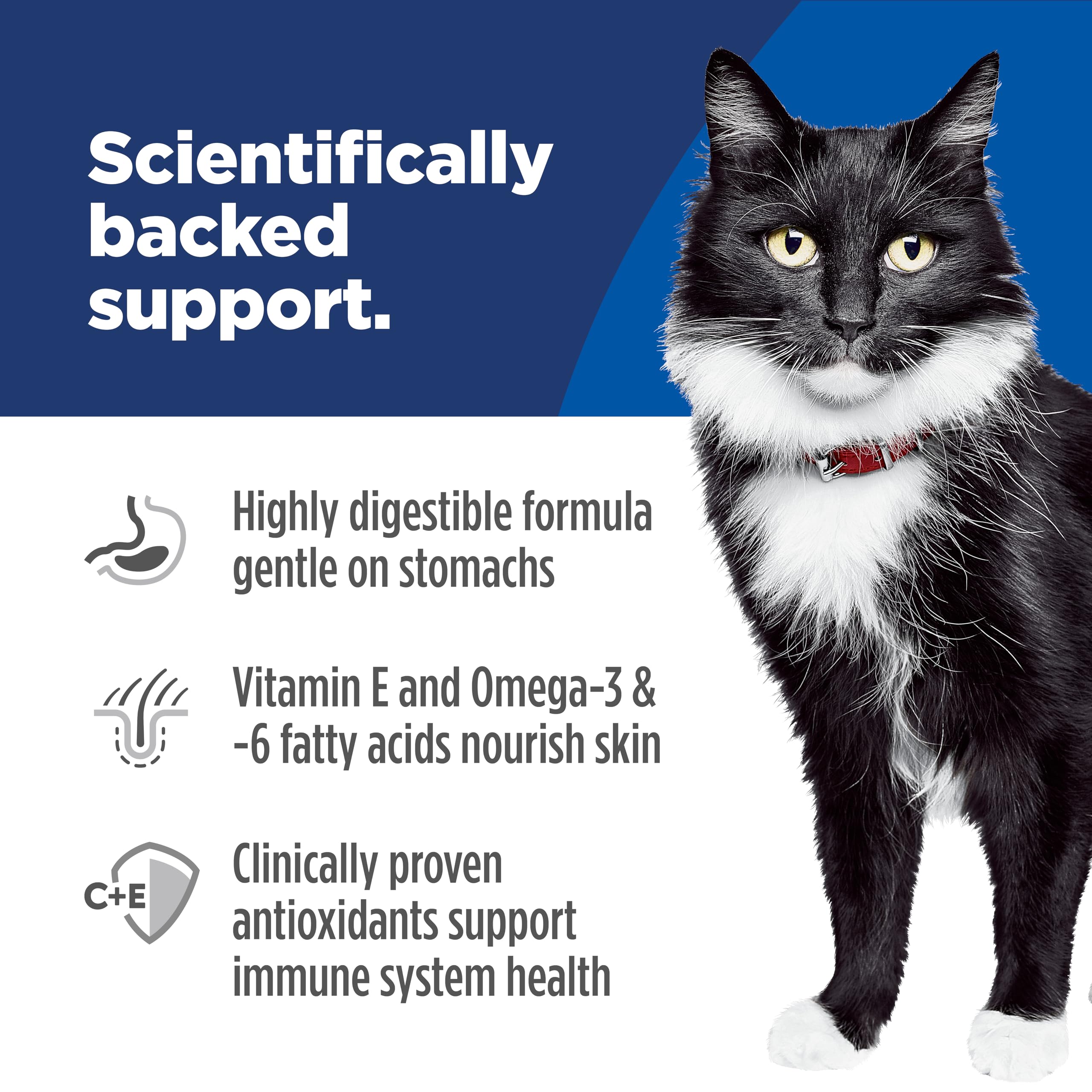 Close-up of Hill's Science Diet salmon kibble texture for digestive-friendly nutrition
